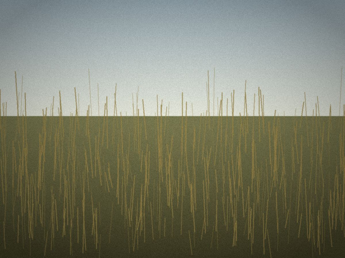 Reed beds near Giethoorn